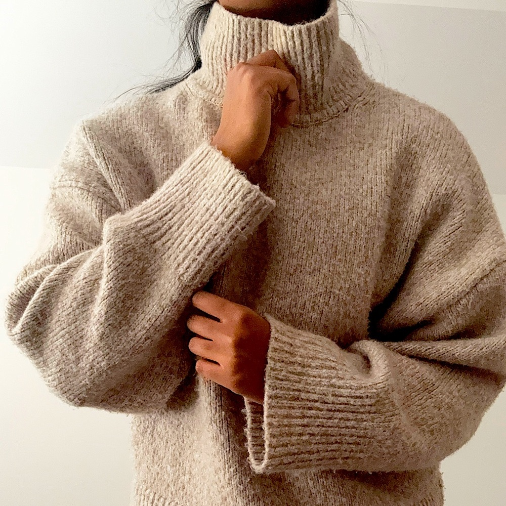 H&M Ladies Brown Turtleneck: Wool Blend, Shaggy